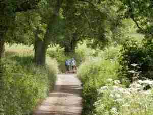 Old Oaks Touring Site near Glastonbury