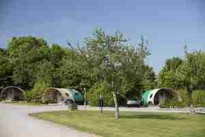 Old Oaks Touring Site near Glastonbury